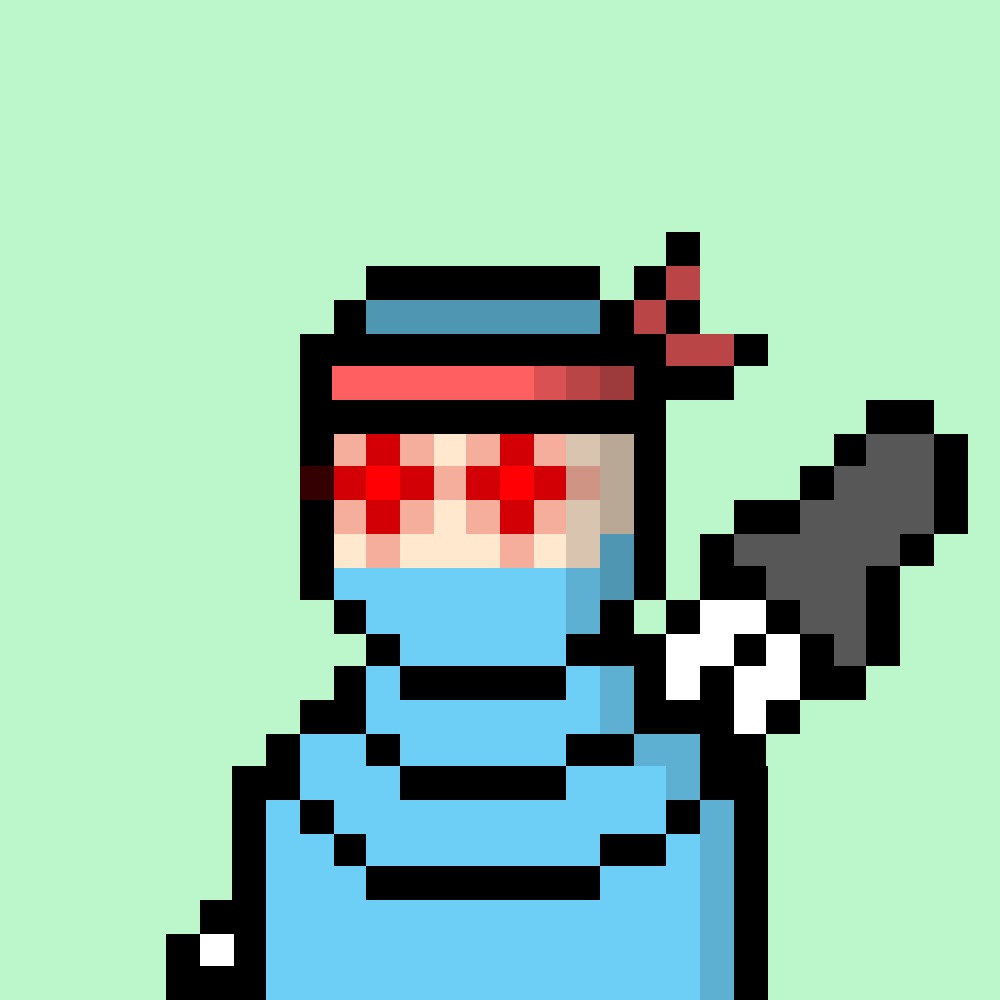 Ninja #1001