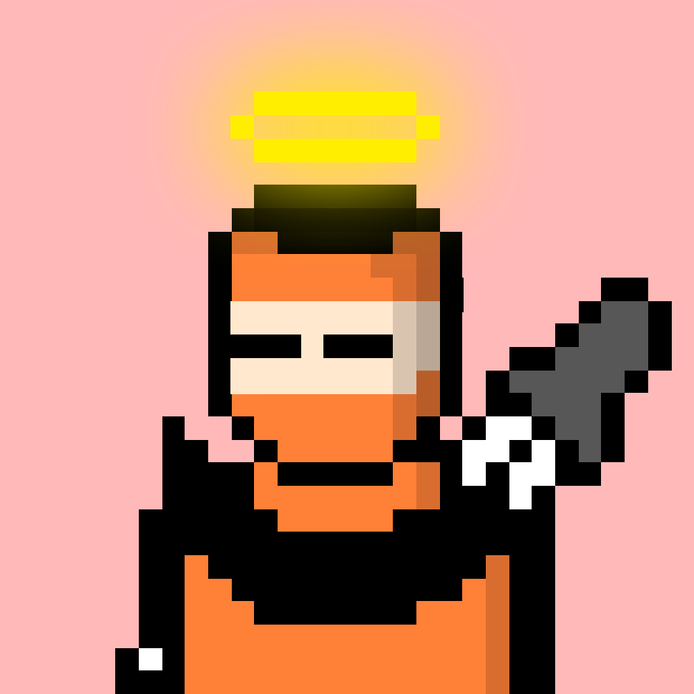 Ninja #237